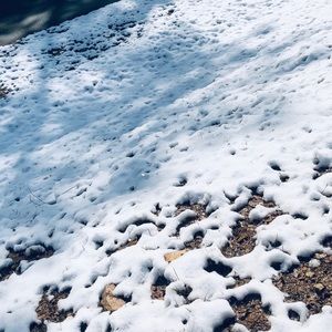 Meet your Posher, Laila